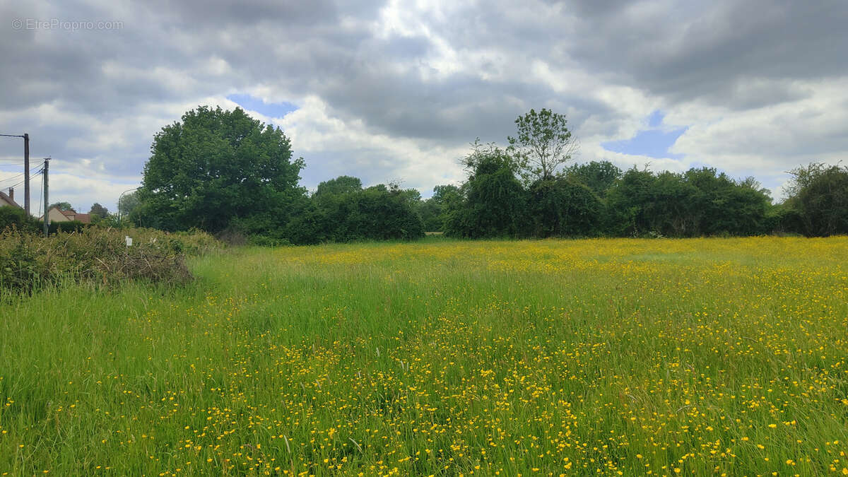 Terrain à GOINCOURT