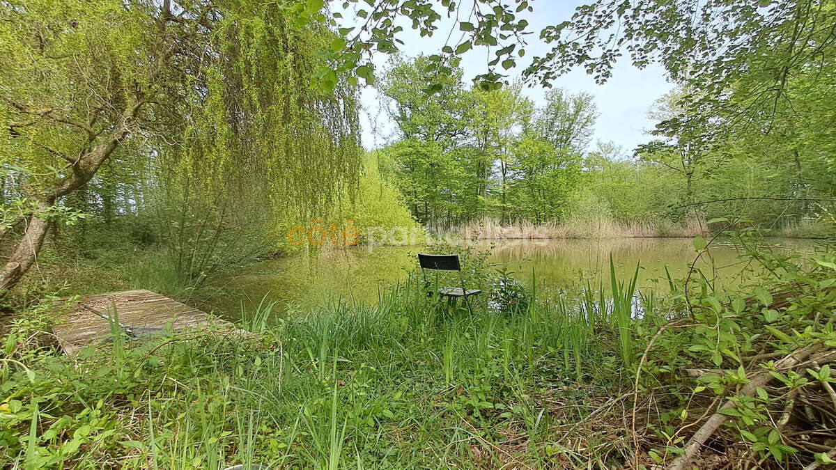 Terrain à CHEVILLON-SUR-HUILLARD