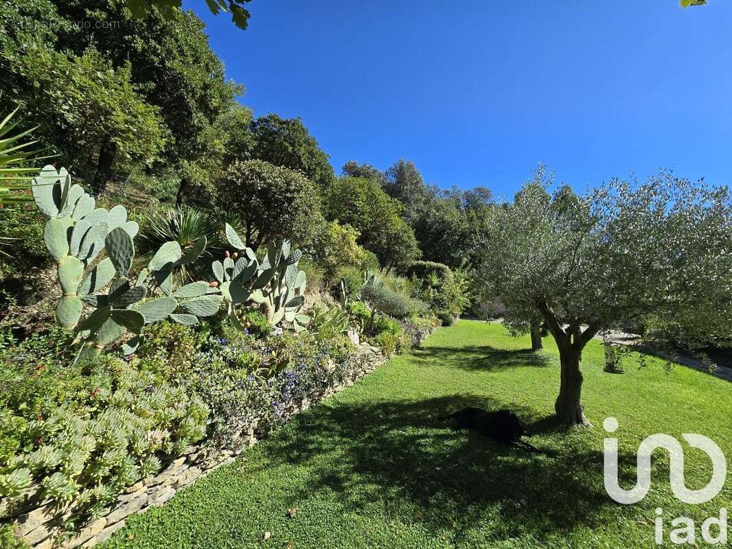 Photo 3 - Maison à TRESQUES