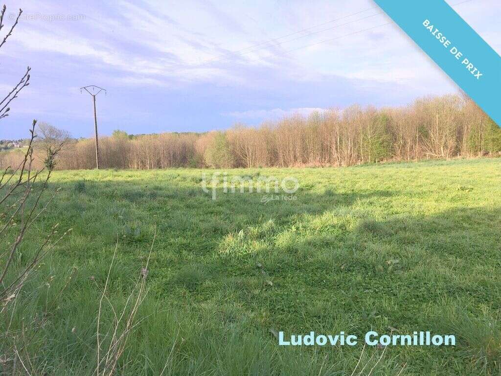 Maison à la campagne : 119m2, granges, 1.5ha - photo 5