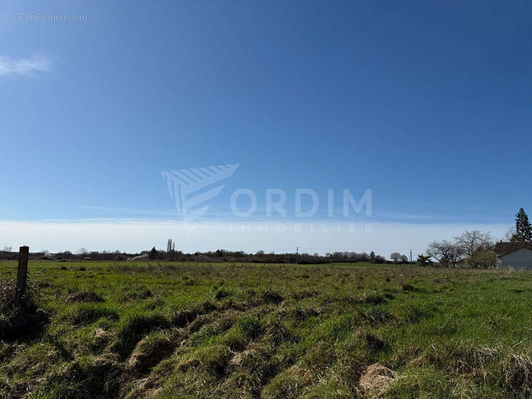 Terrain à BEAULIEU-SUR-LOIRE