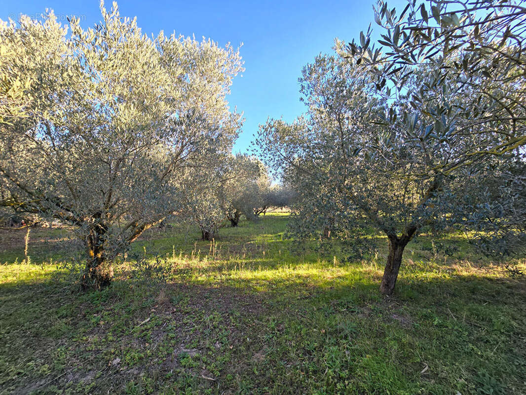 Terrain à ARGELES-SUR-MER
