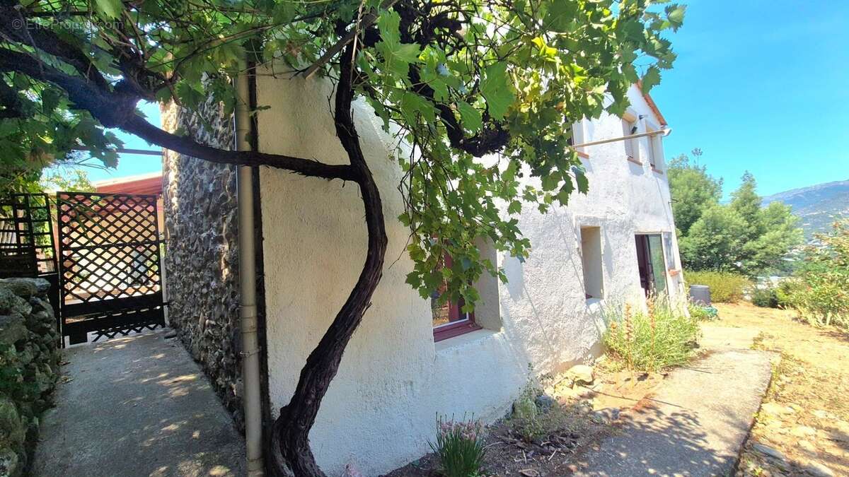 Maison à vendre 7 pièces PRADES (66) - photo 16