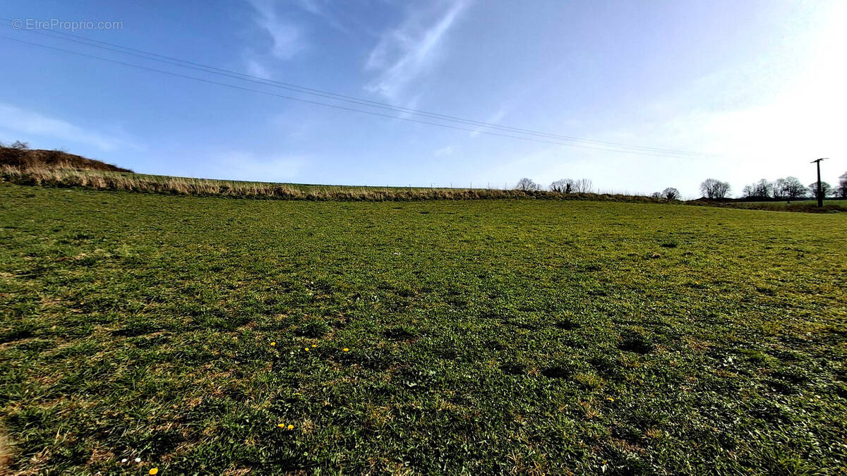 Terrain à TORCY-LE-PETIT