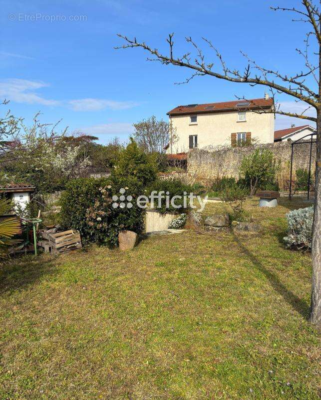Maison 257 m² à Saint-Genis-Les-Ollieres  - photo 5