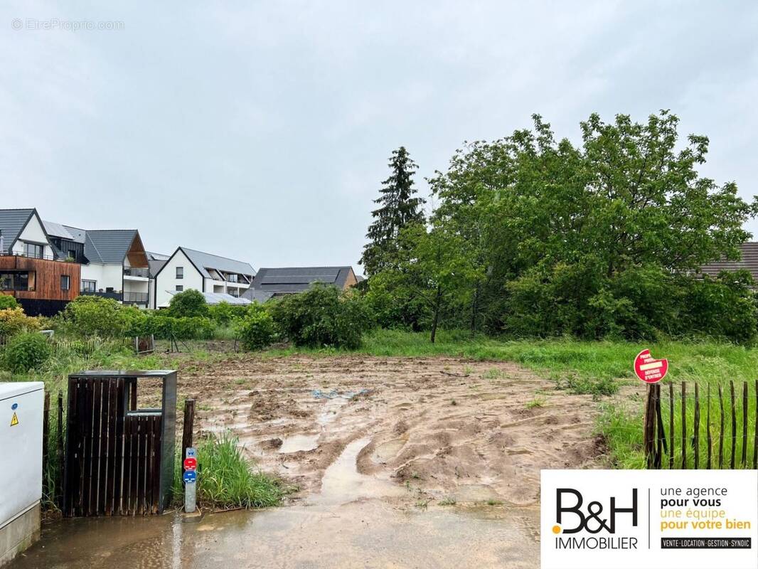 Terrain à OBERSCHAEFFOLSHEIM