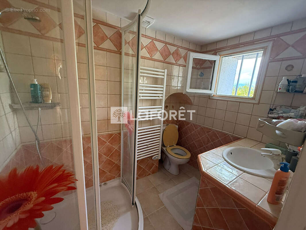BERGERIE A FAYENCE  DANS UN HAMEAU  3+1pièce(s) 100 m2 avec 60m² de dépendances et très belle piscine - photo 14