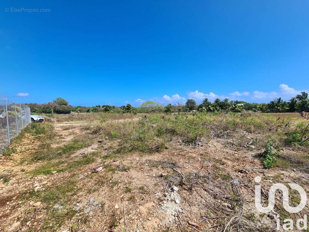 Photo 2 - Terrain à PETIT-CANAL