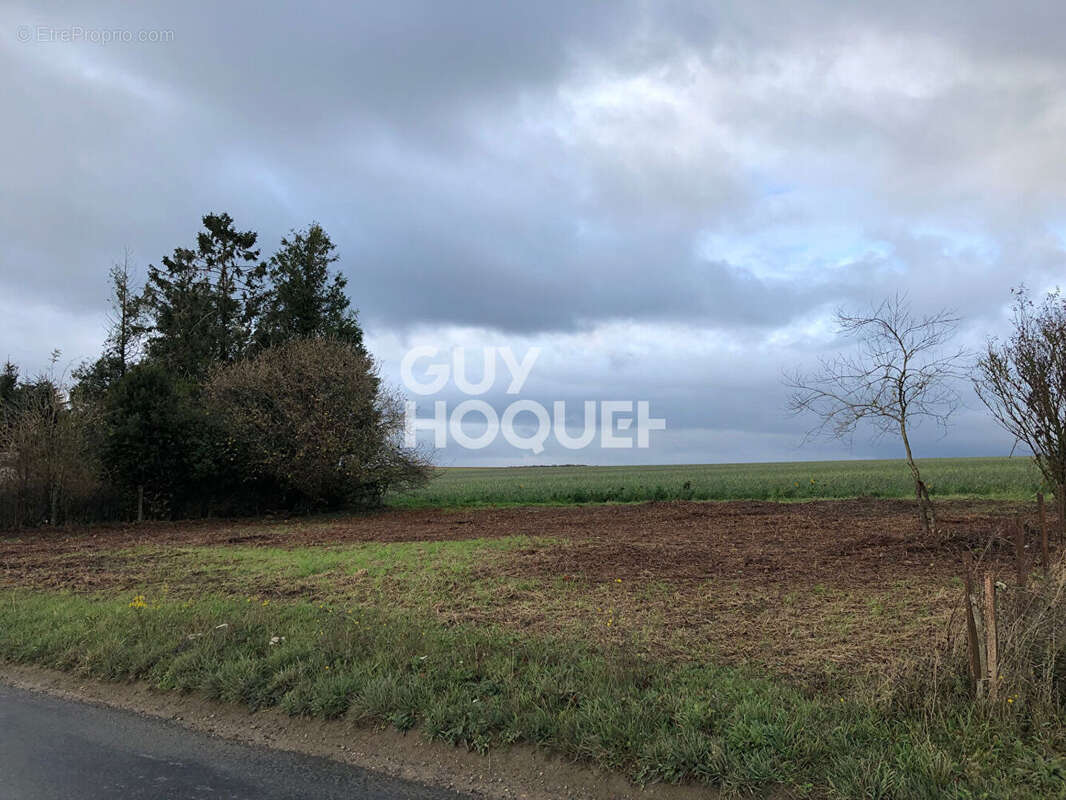 Terrain à PERONNE