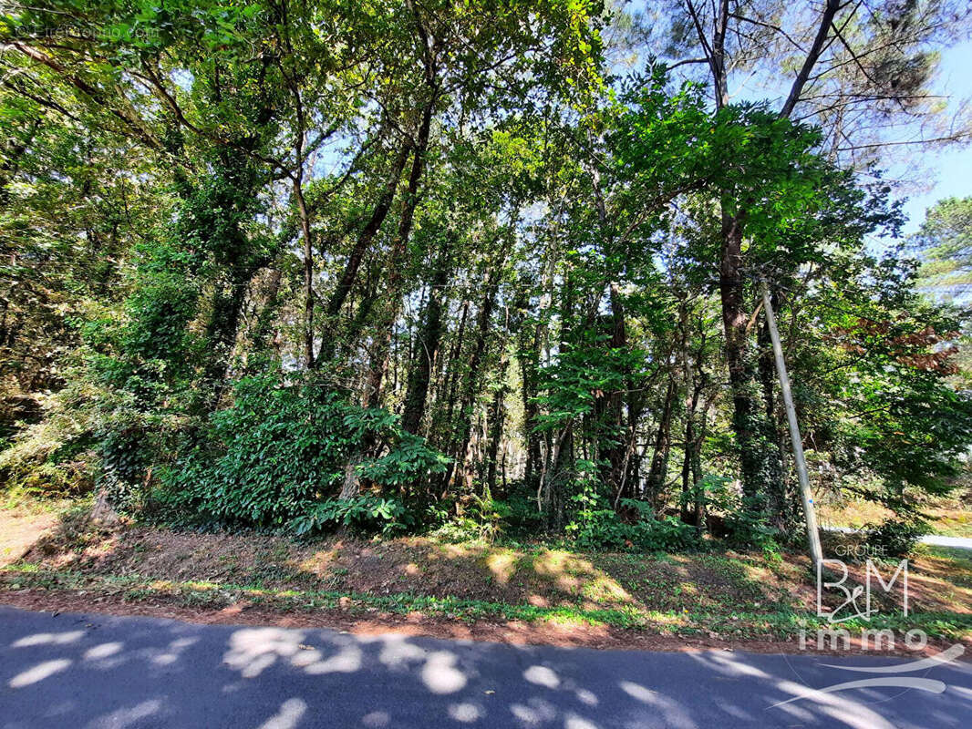 Terrain à BENESSE-MAREMNE