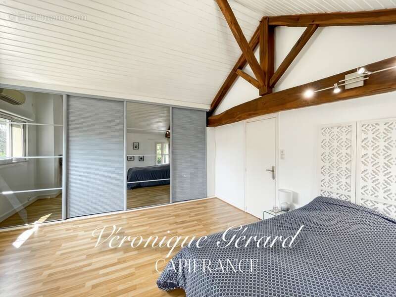 Belle Girondine avec Gîte et boxes pour chevaux à SAINT CHRISTOPHE DE DOUBLE sur 12000M² de terrain - photo 19