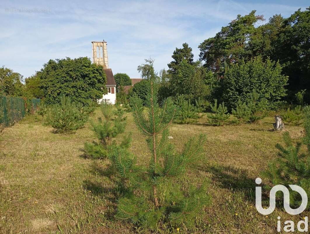 Photo 2 - Maison à LARCHANT