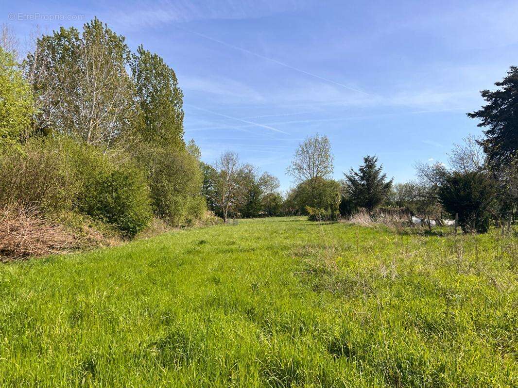 Terrain à BEAUFAY