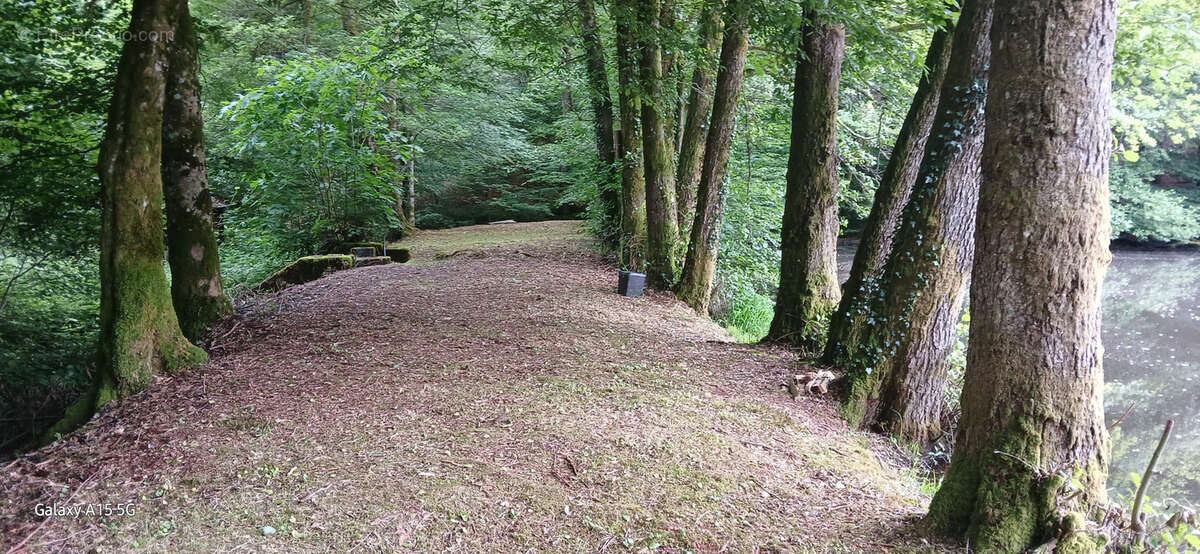Terrain à AUXELLES-BAS