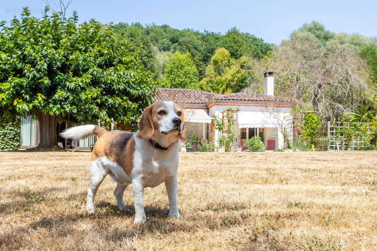 Maison de campagne, garage, piscine, terrain. - photo 17