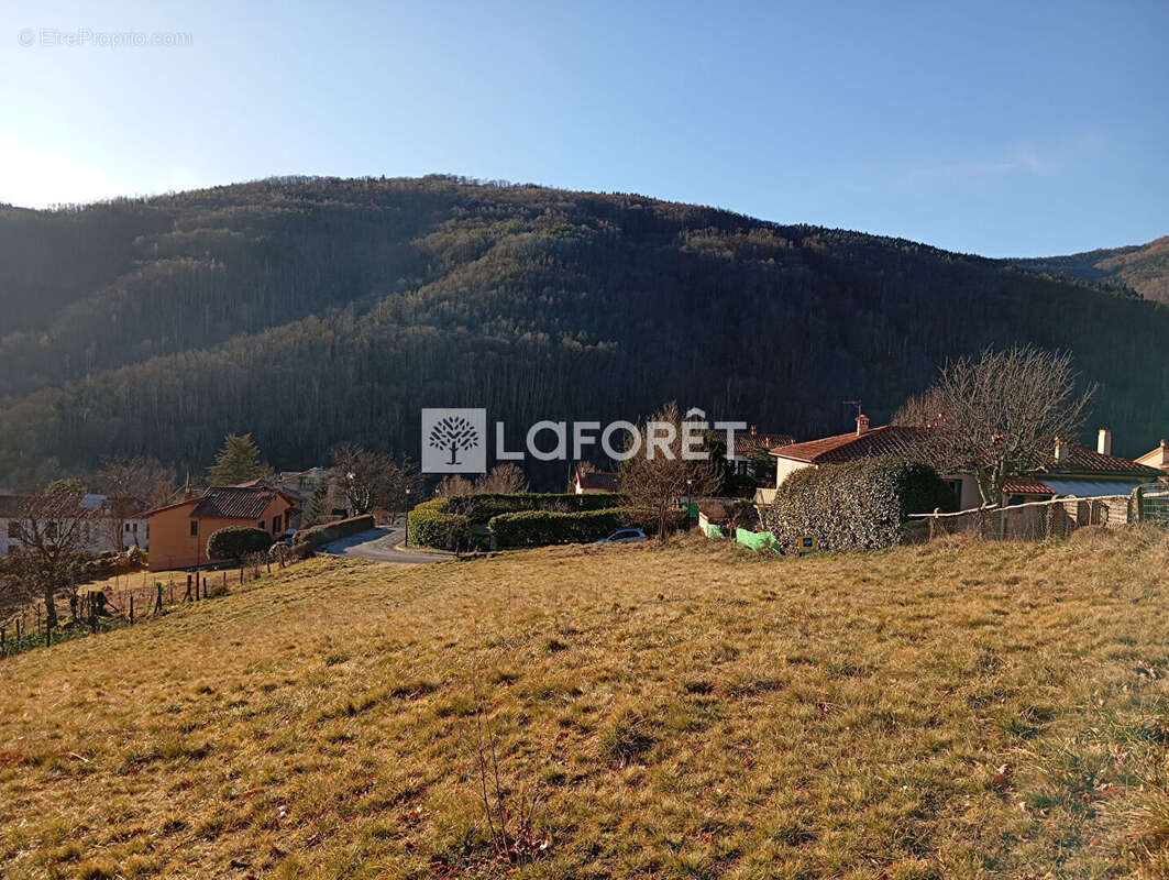Terrain à PRATS-DE-MOLLO-LA-PRESTE