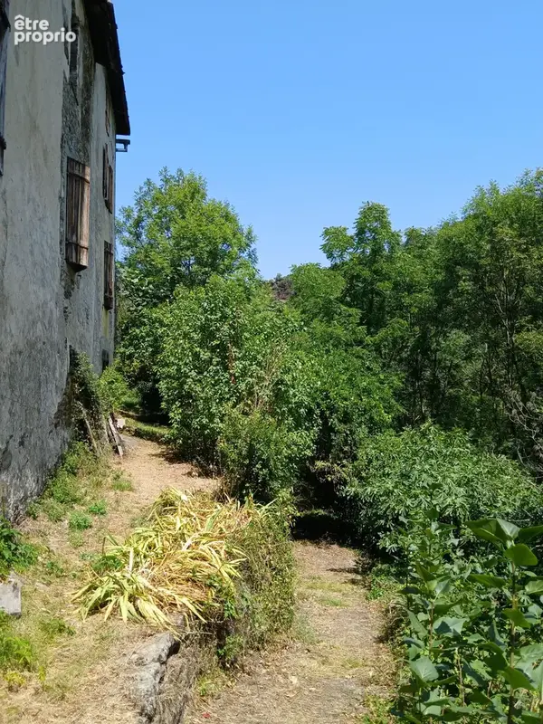 MAS 360 de volume + 25 hectares. - photo 21