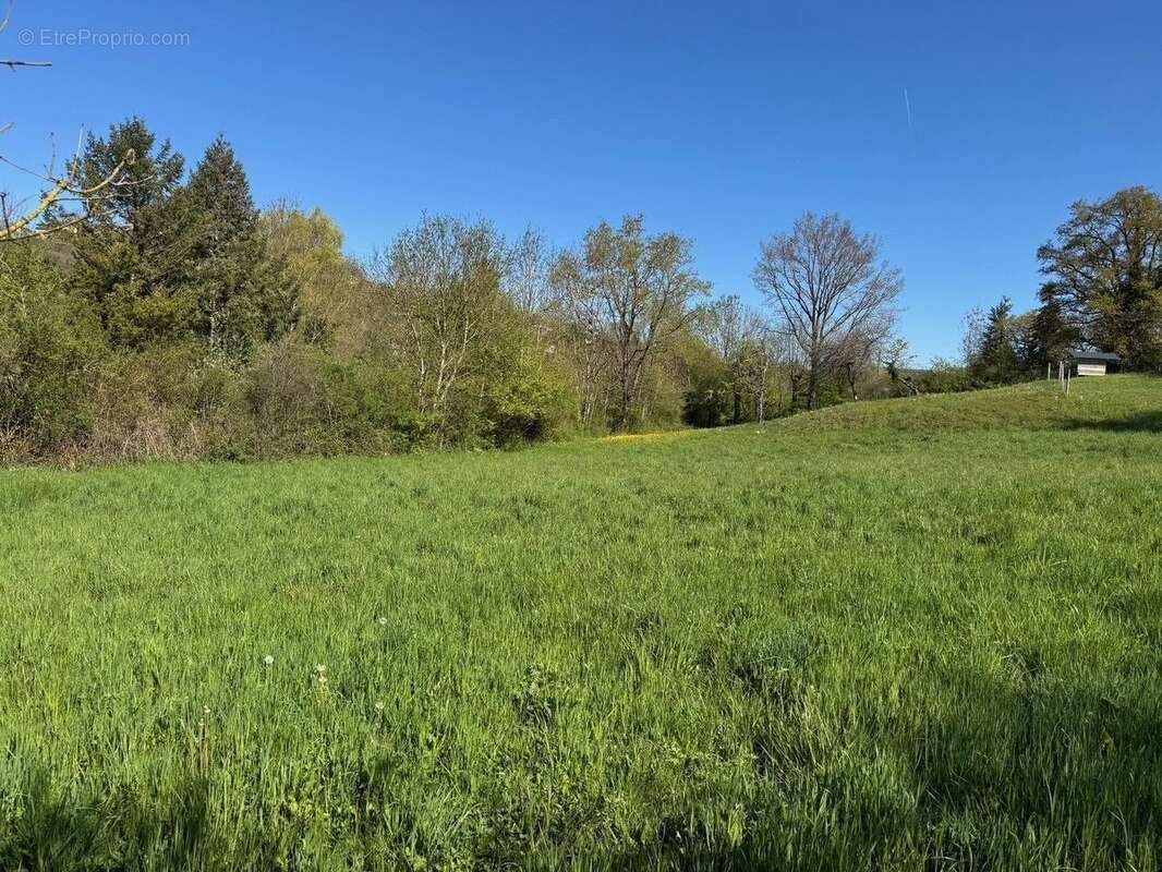 Terrain à MONTROZIER