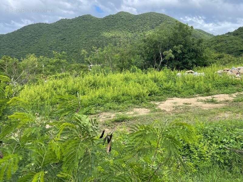 Terrain à SAINT-MARTIN