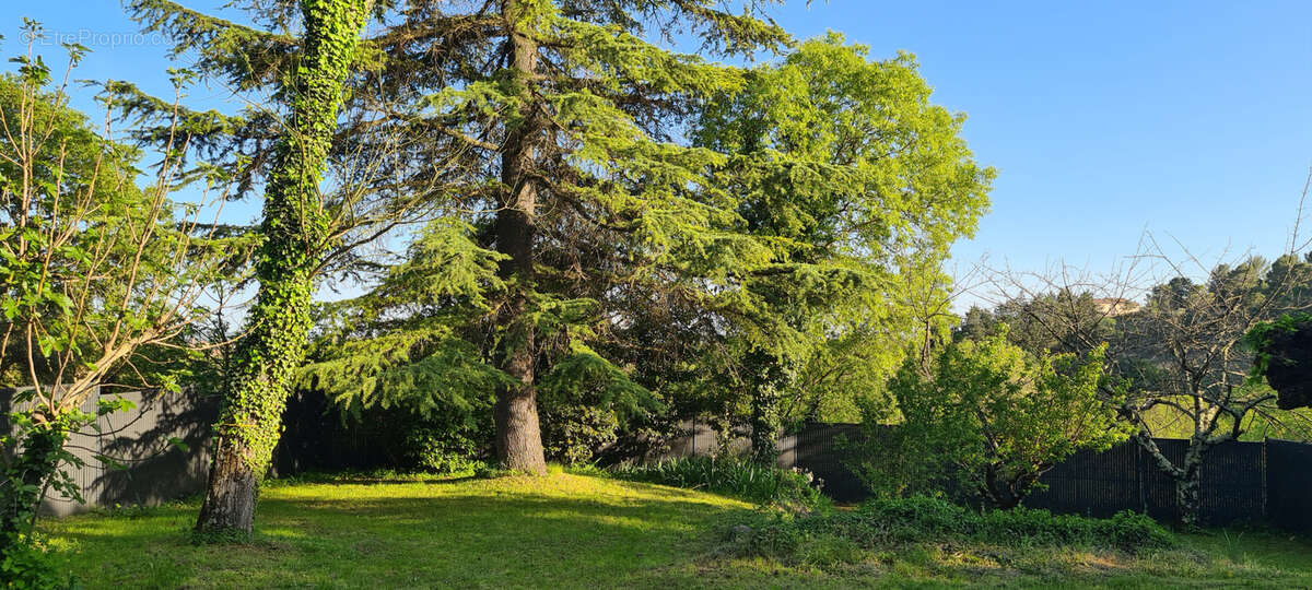 Maison à SAINT-CHRISTOL-LES-ALES