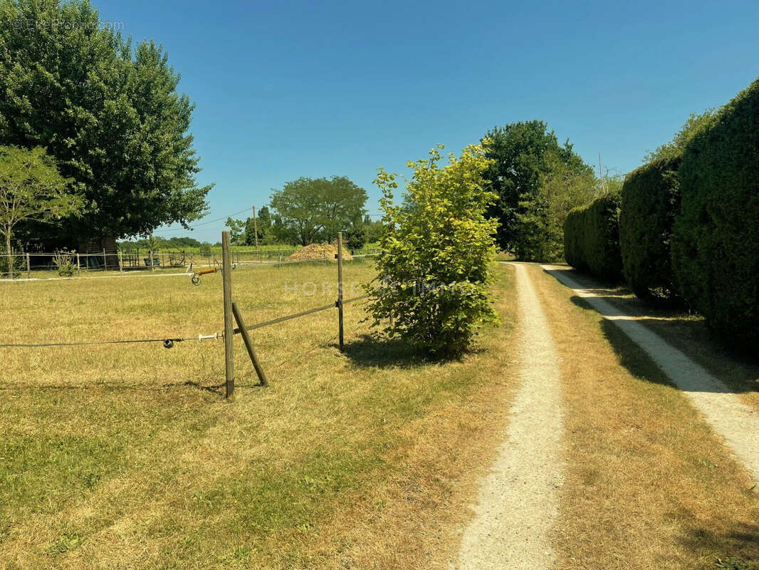 Maison 205 m² à Blois  - photo 8