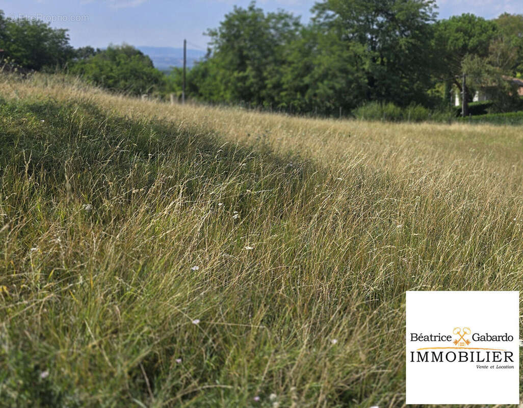 Terrain Parcieux 600 m2 - photo 3