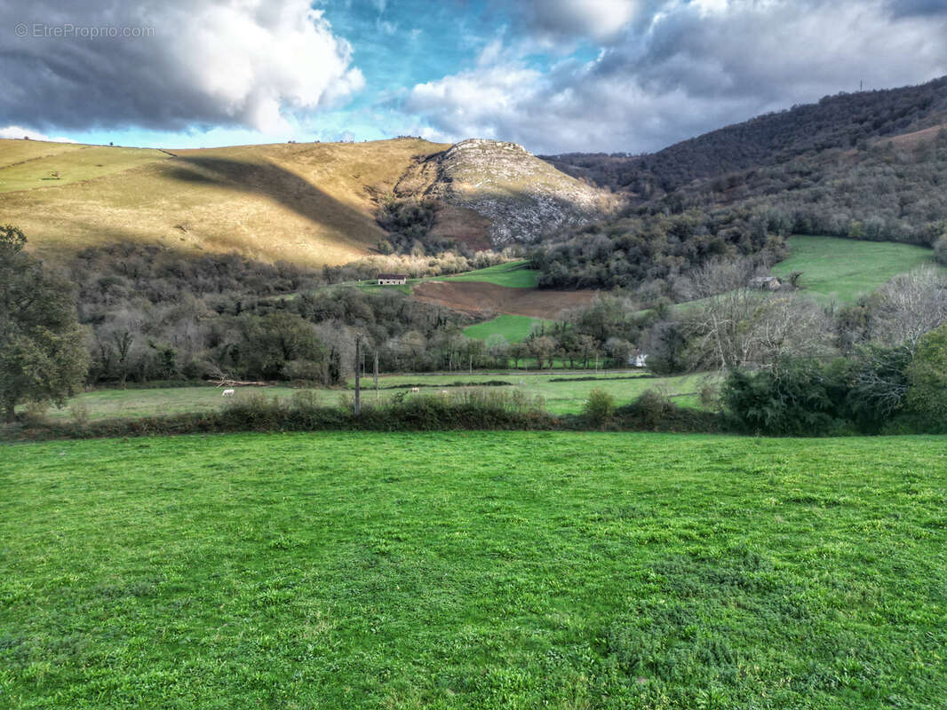Terrain à SAINT-PALAIS