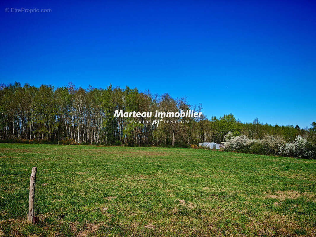 Terrain à LE GRAND-LUCE