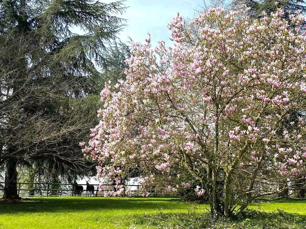 Maison à FORGES-LES-EAUX
