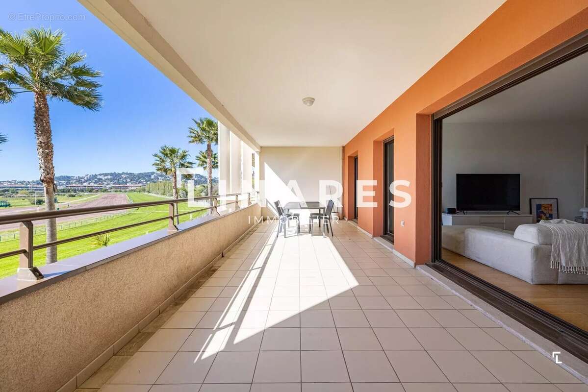 Appartement à MARSEILLE-8E
