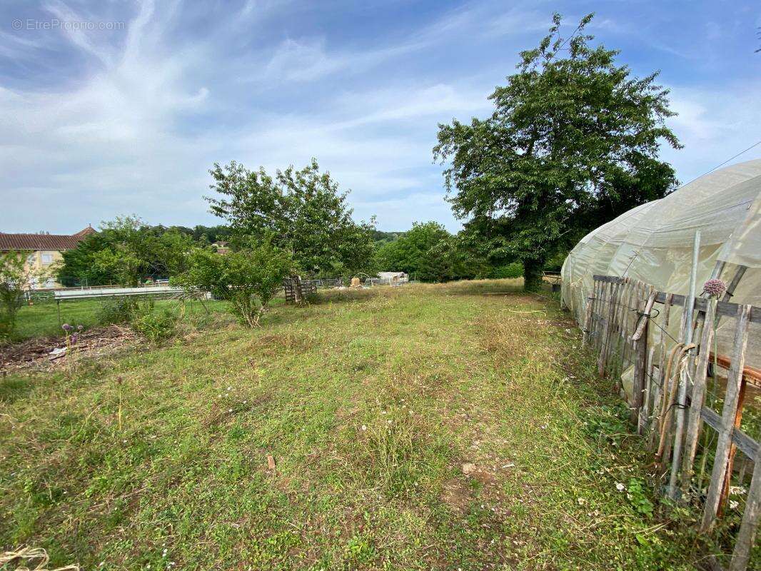 Terrain à SAINTE-ALVERE