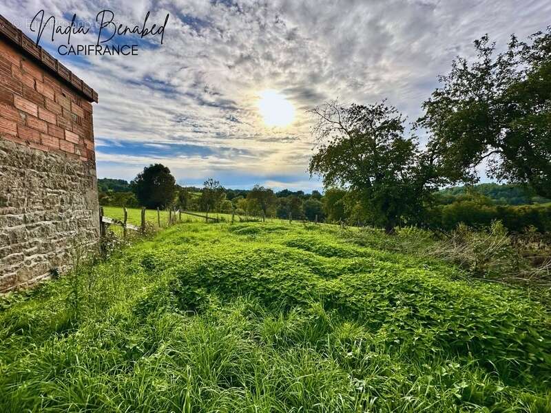 MAIZILLY - Terrain de 4 630,00 m² viabilisable et divisible - photo 6