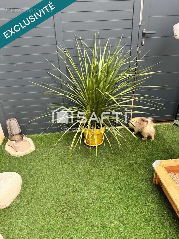 Photo 7 - Maison à CEYRESTE