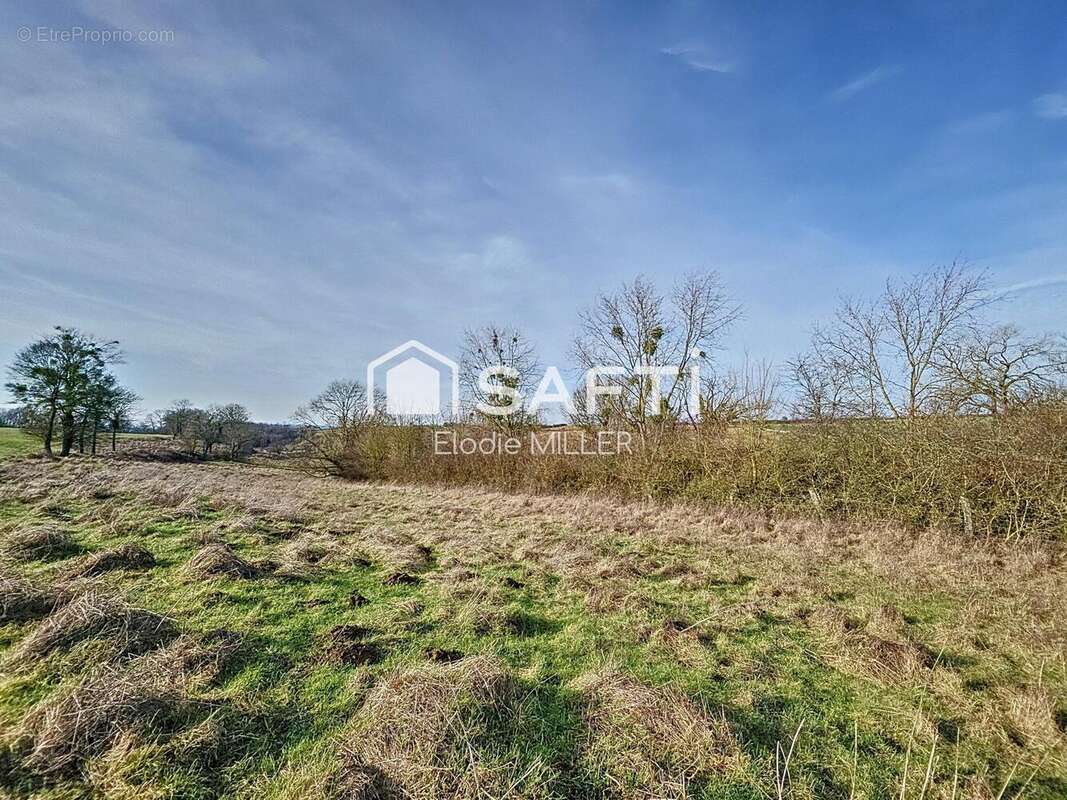 Terrain 7325 m² à Pulligny  - photo 2
