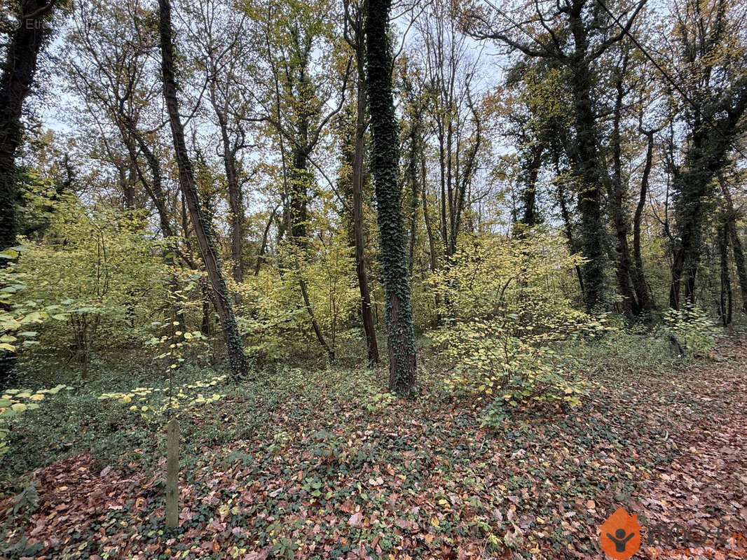 Terrain à LAMORLAYE