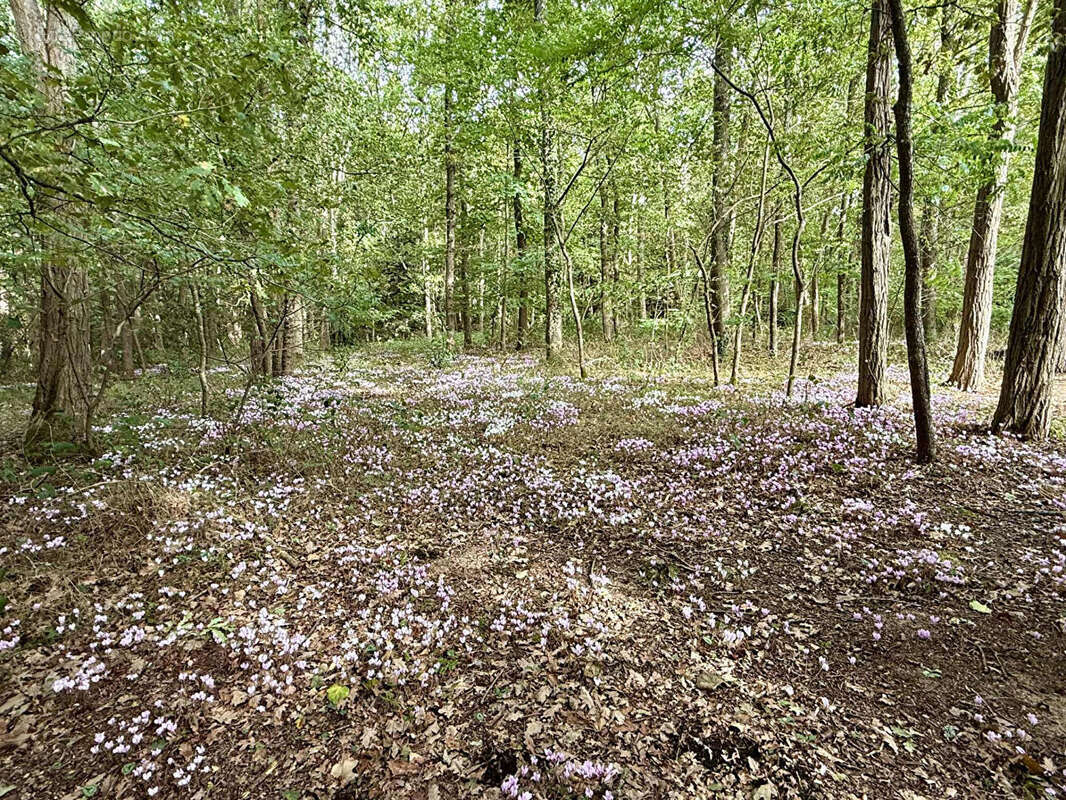 Maison à LA CHAPELLE-SAINT-REMY