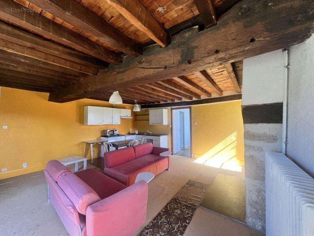 Maison 450 m² à Mezieres-Sur-Issoire  - photo 9
