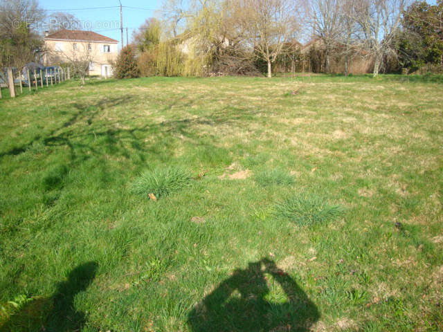 Terrain couzeix - photo 5