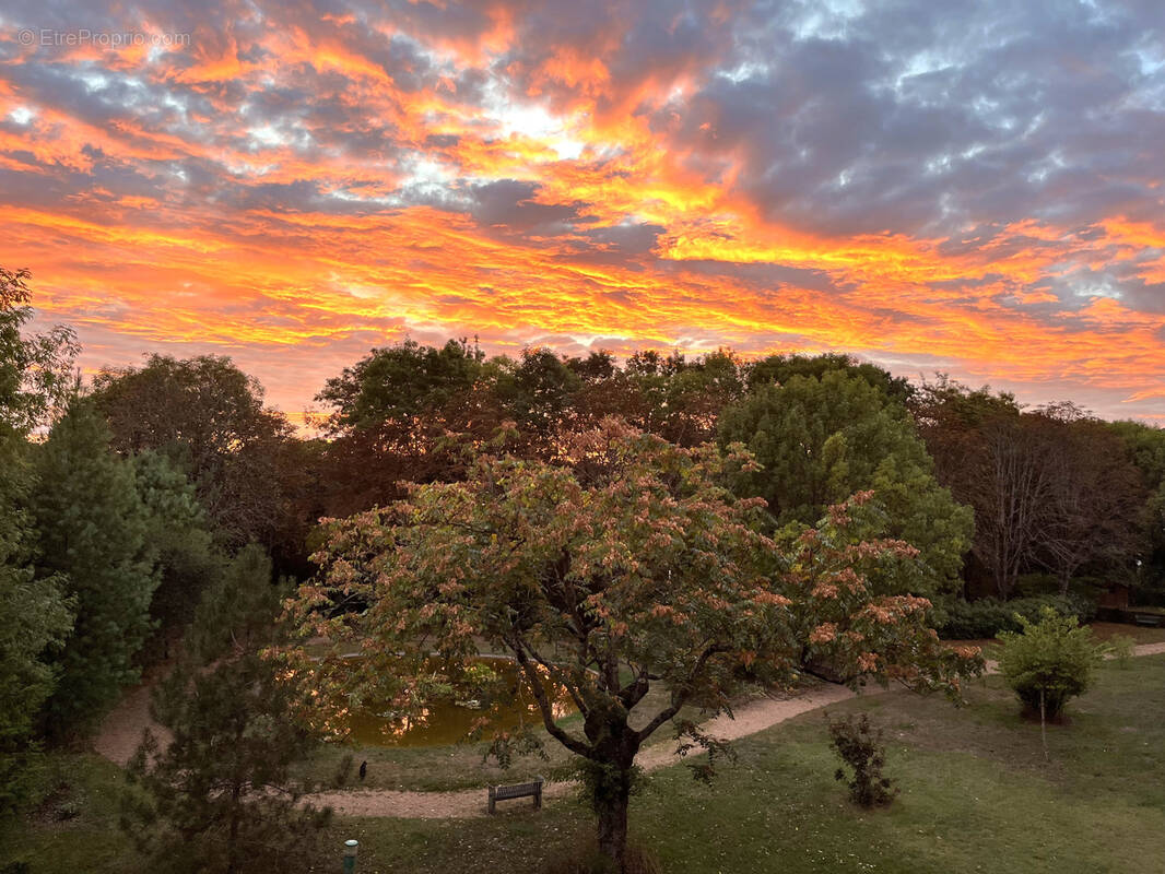 Appartement à TOURS