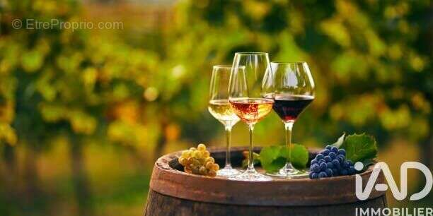 Photo 4 - Maison à L'ISLE-SUR-LA-SORGUE