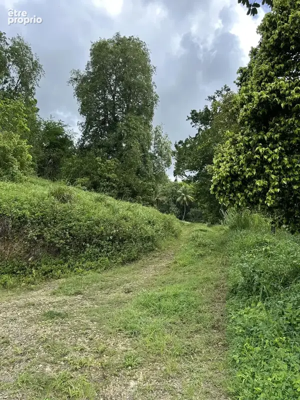 Terrain à LES ABYMES