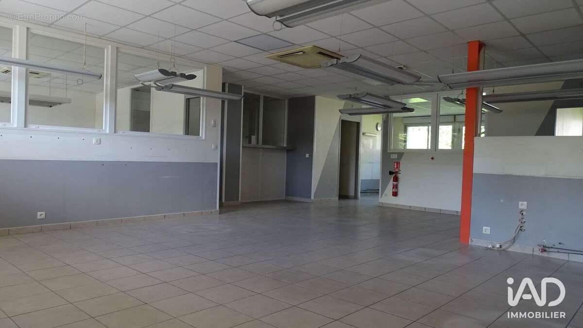 Commerce 250 m² à Revel  - photo 3