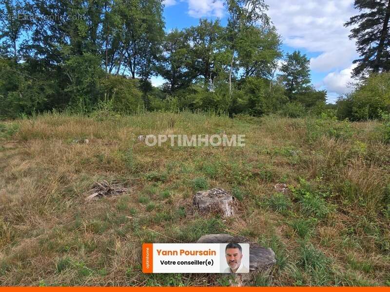 Terrain à BOISSEUIL