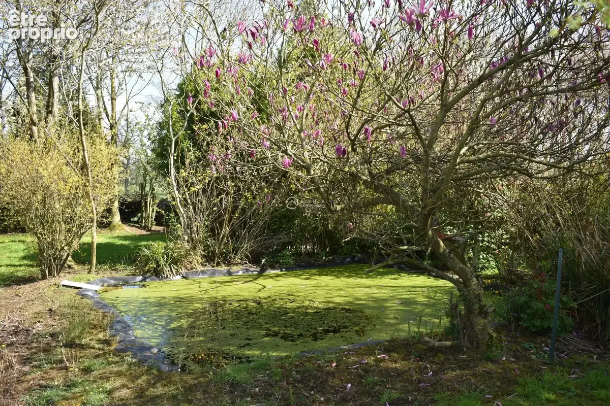 Maison 6 pièces 150 m² à vendre à Greuville (76810) - photo 6