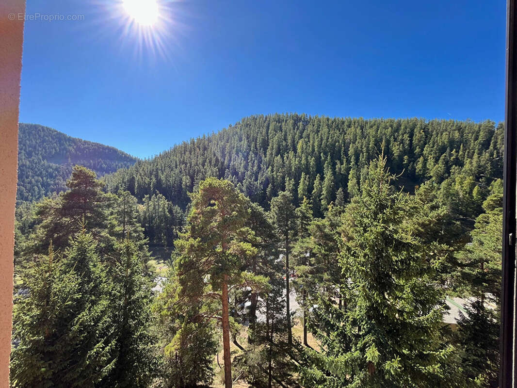 Appartement à VALDEBLORE