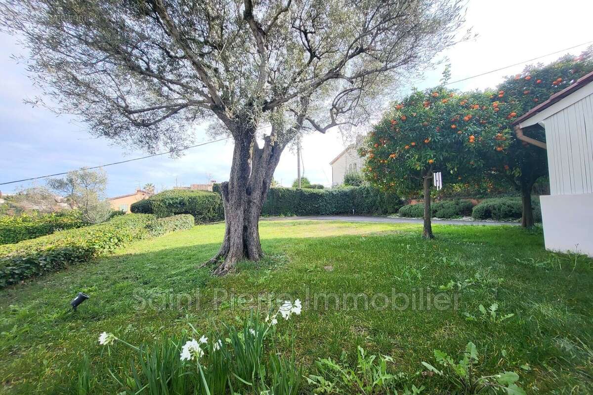 Maison à CAGNES-SUR-MER