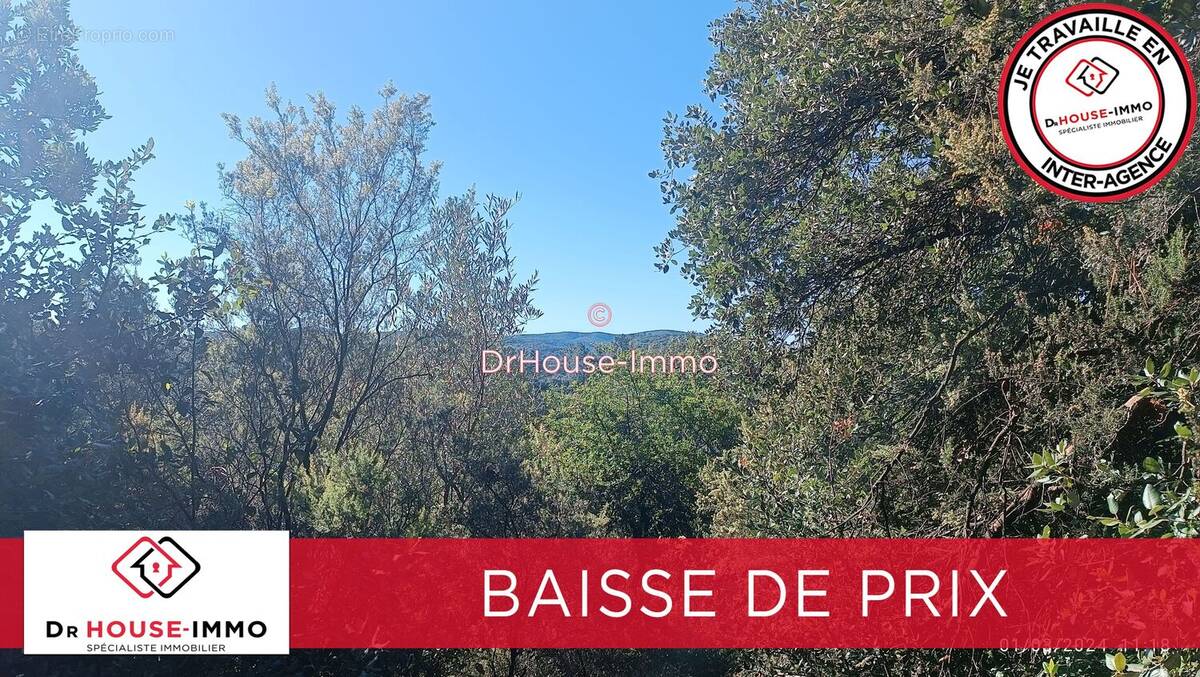 Terrain à SAINT-JEAN-DU-PIN