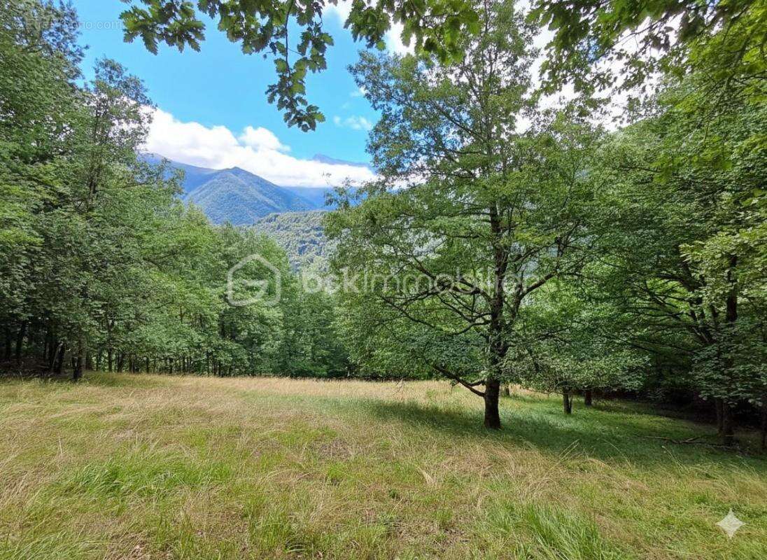 L'authenticité et le rêve: la grange de Jean-Pierre - Un hectare de nature en montagne - photo 3