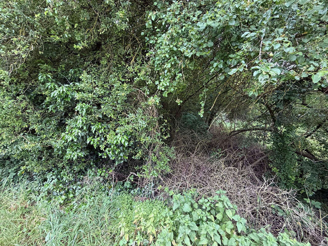 Terrain à BENNECOURT