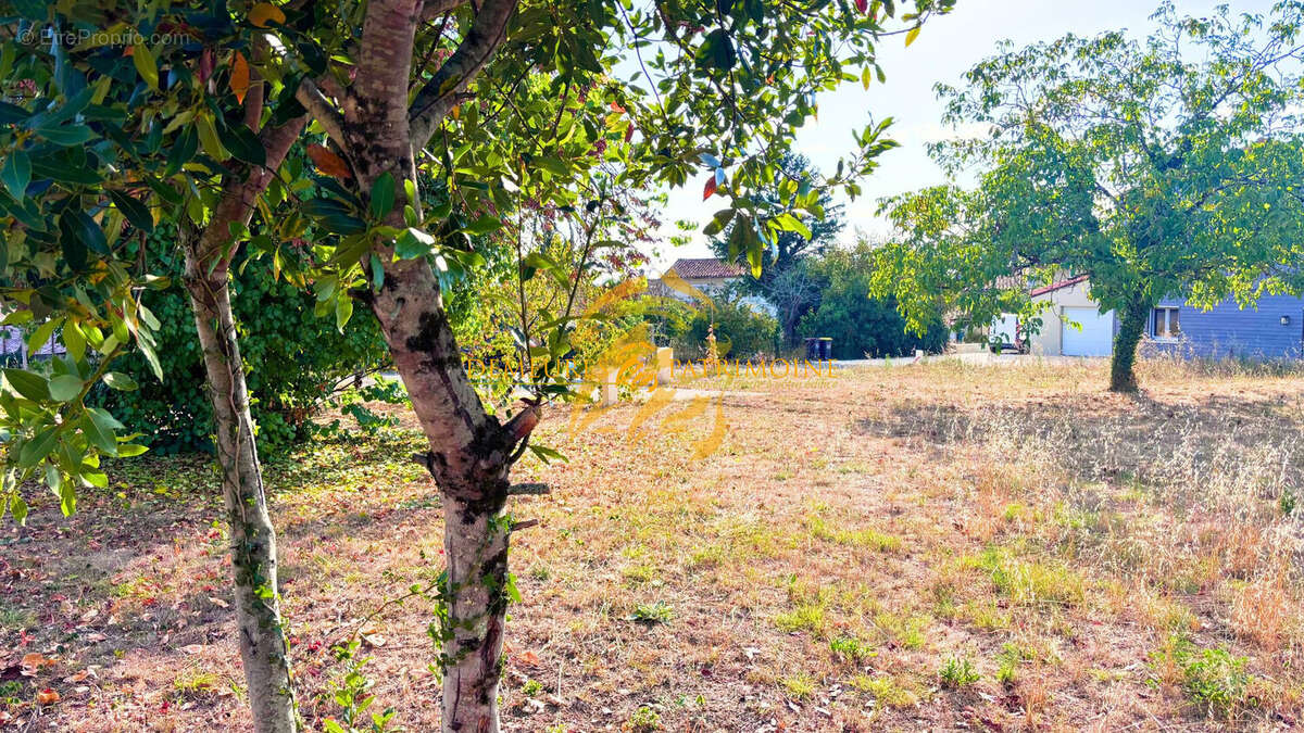 Terrain 439 m² à Soyaux  - photo 6